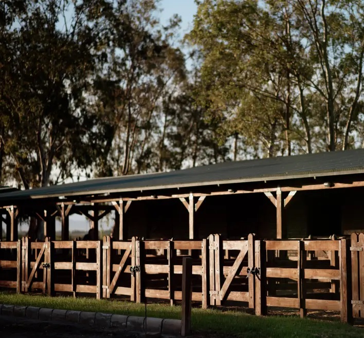 Cabaña Paterno
